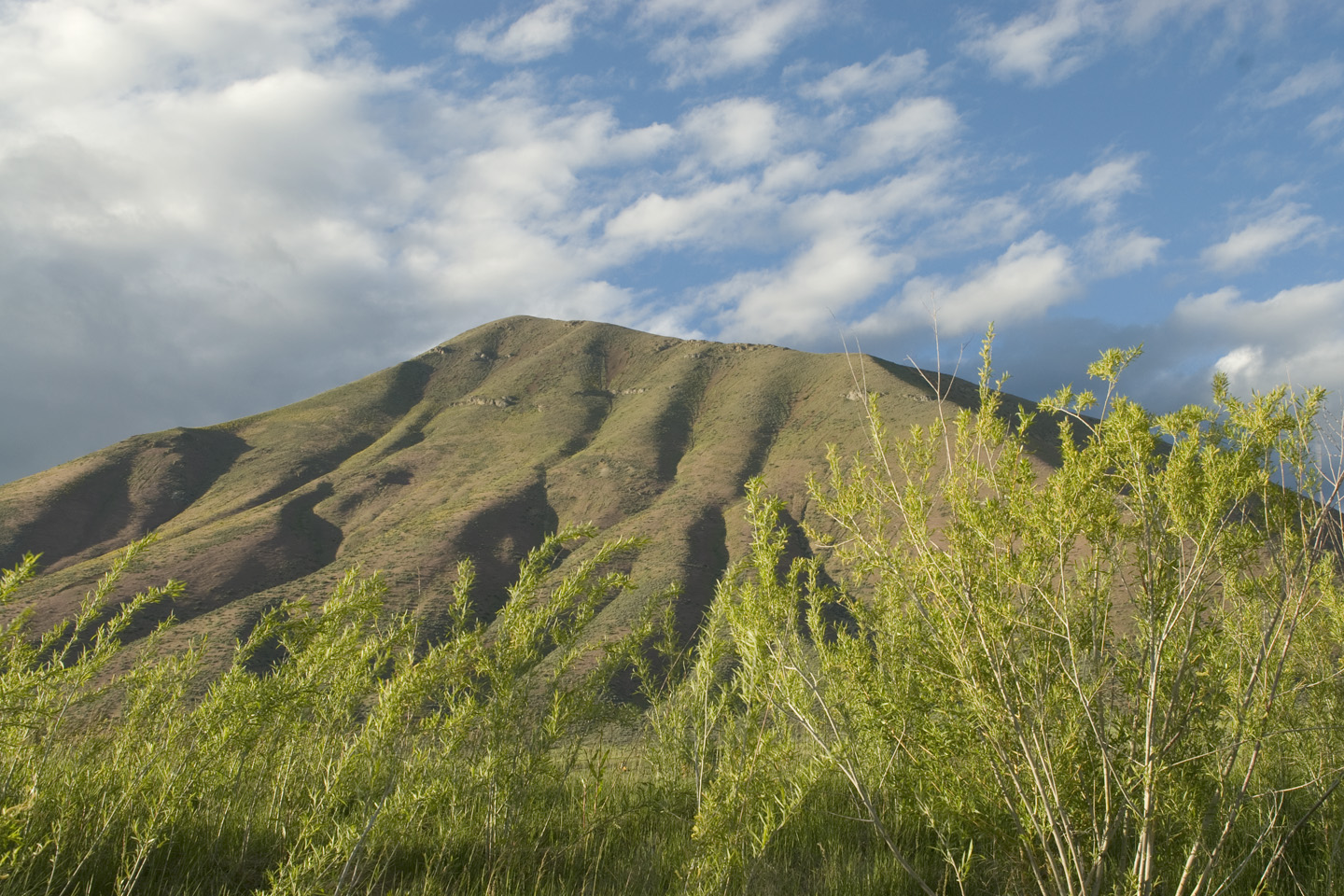 Lookout Mountain rising above the Bench at Griffin Ranch